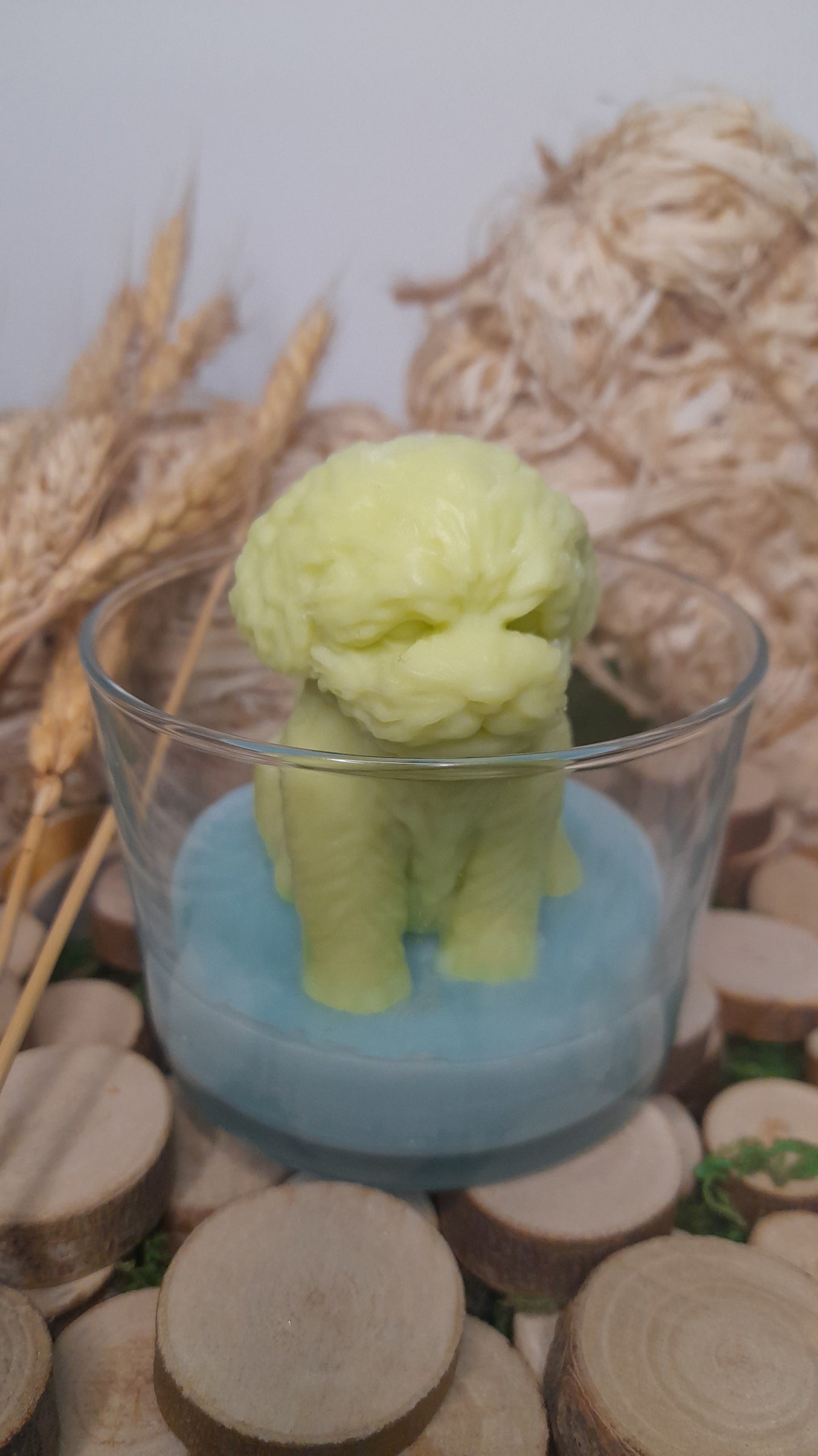 BOUGIE CHIEN MONOI PASSION