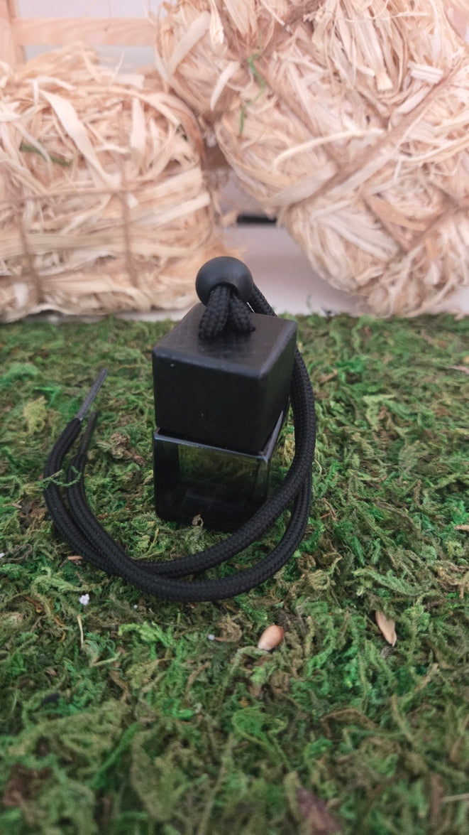 DIFFUSEURS VOITURE MODELE 2