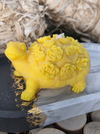 TORTUE