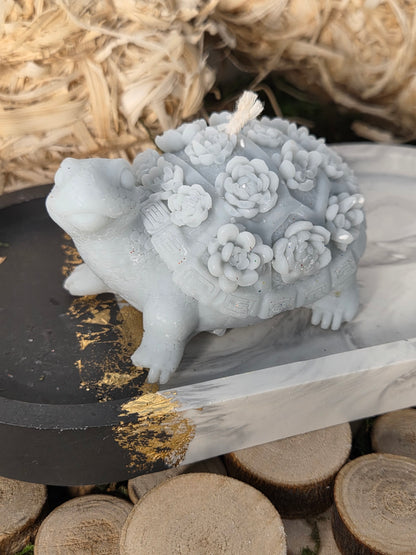 TORTUE