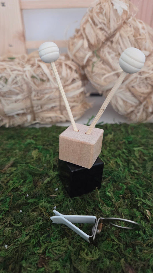 DIFFUSEURS VOITURE MODELE 1