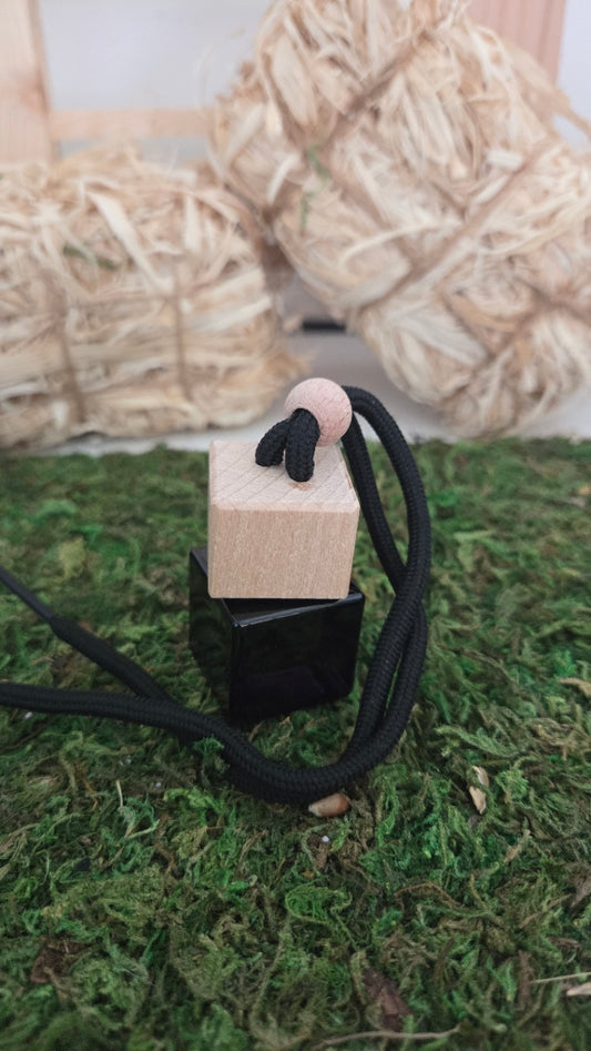 DIFFUSEURS VOITURE MODELE 3