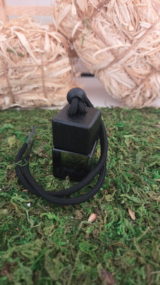 DIFFUSEURS VOITURE MODELE 2