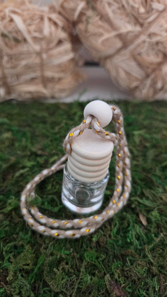 DIFFUSEURS VOITURE MODELE 4