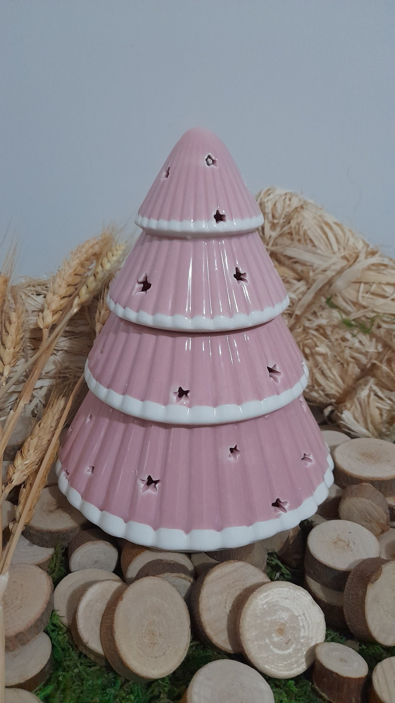 SAPIN  NOEL ROSE